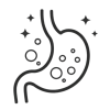 digestion 2